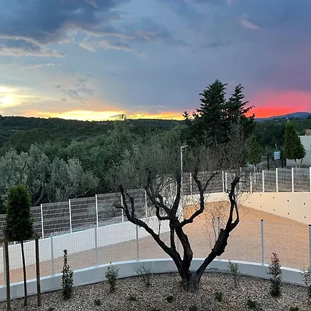 Modern - Terrace - Pool